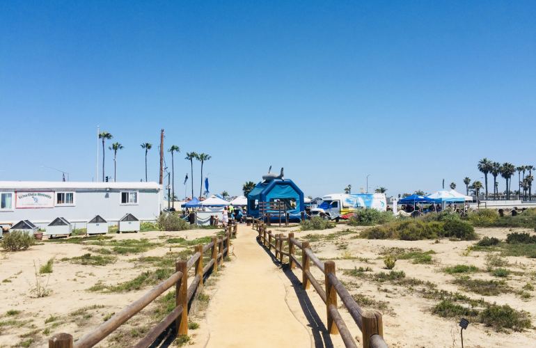 Earth Day 2018: at the Bolsa Chica Ecological Reserve